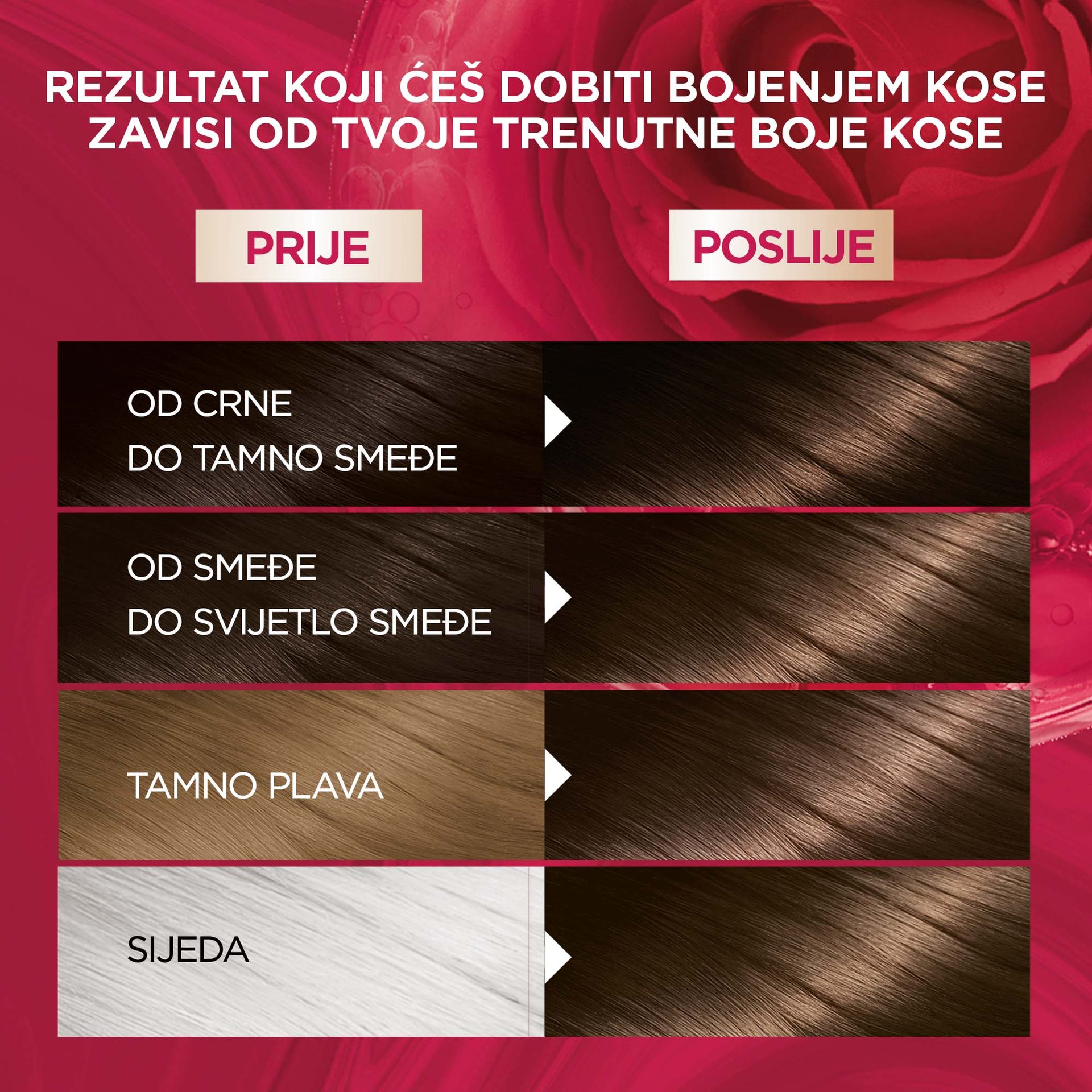 GAR COLOSENS brown 07